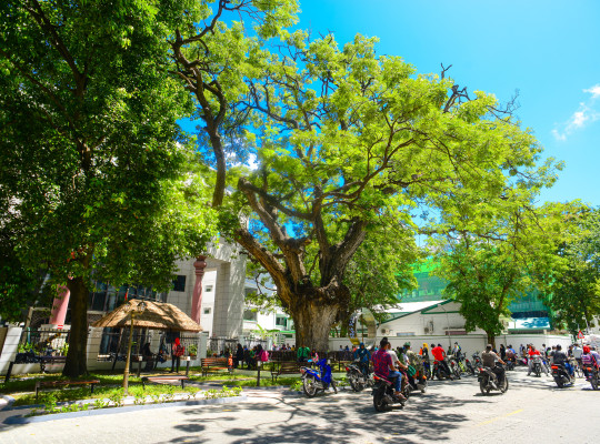 Aktualność numer 1